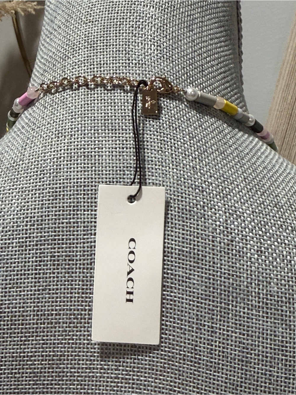 New! Coach! - Picture 11 of 13